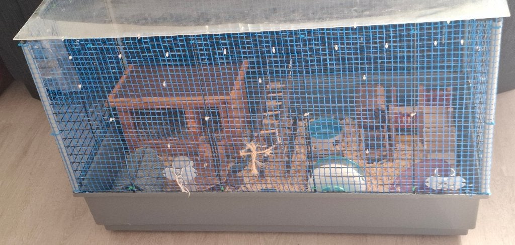 Leuke grote Hamsterkooi Inclusief spulletjes., Dieren en Toebehoren, Kooi, Gebruikt, 60 tot 90 cm, Ophalen of Verzenden
