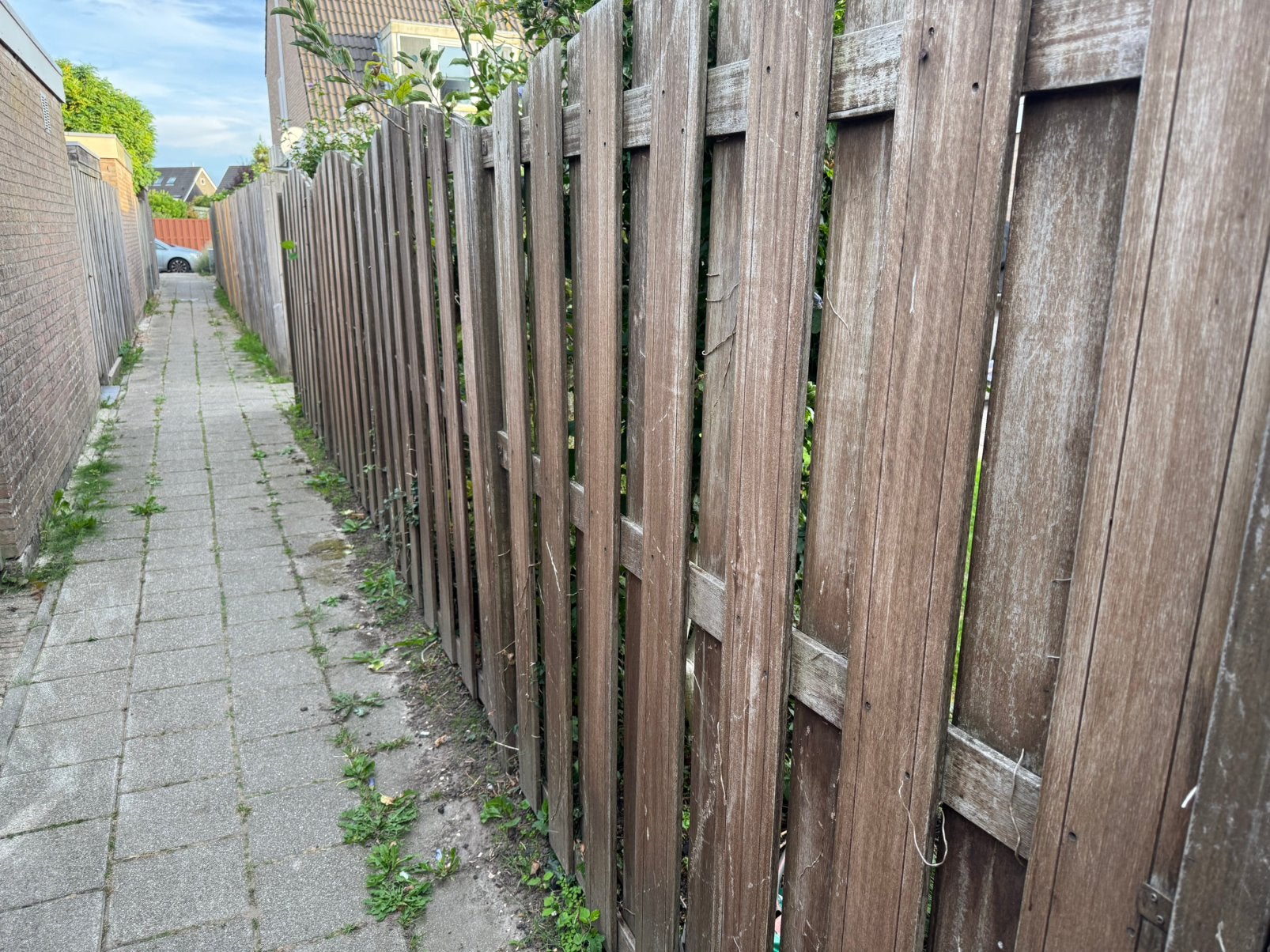 Te koop: Complete hardhouten schutting met poortdeur, Tuin en Terras, Ophalen, 6 meter of meer, Hout, 1 tot 2 meter