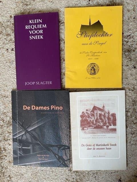 10 boeken/boekjes van/over de Waterpoortstad Sneek, Boeken, Geschiedenis | Stad en Regio, Ophalen of Verzenden, Zo goed als nieuw