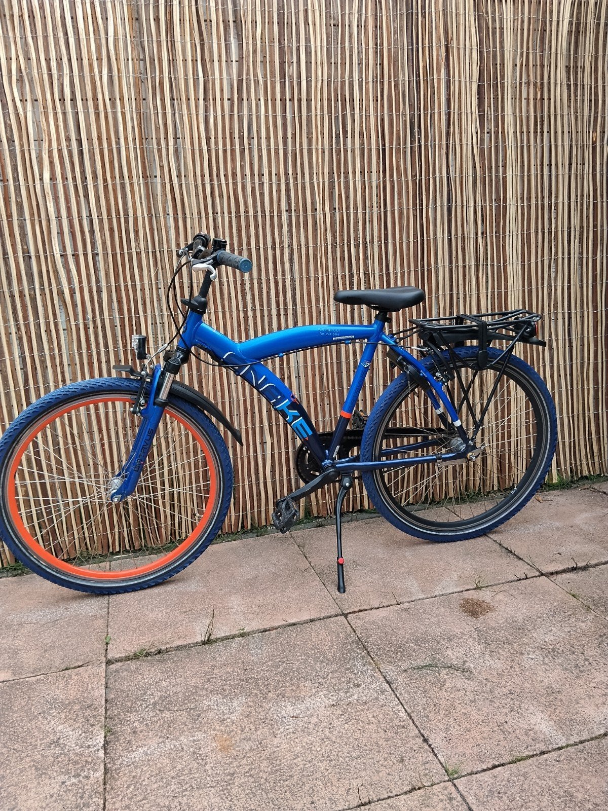 Mooie Batavus Snake 26 inch, Ophalen, Terugtraprem, Versnellingen, Batavus