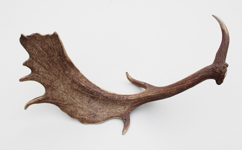 Grote DAMHERT GEWEI AFWERP STANG - 1,5 kg - 72 cm