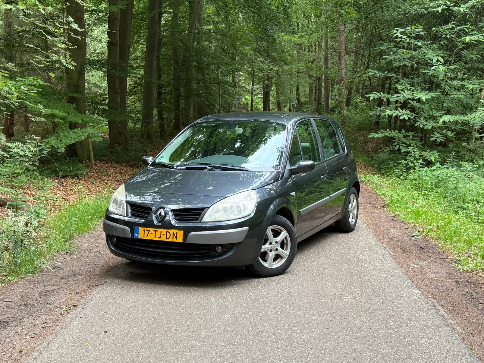 Renault Scénic 1.6 16V 82KW E4 2006 Grijs, Auto's, Renault, 1295 kg, 4 cilinders, Origineel Nederlands, Particulier