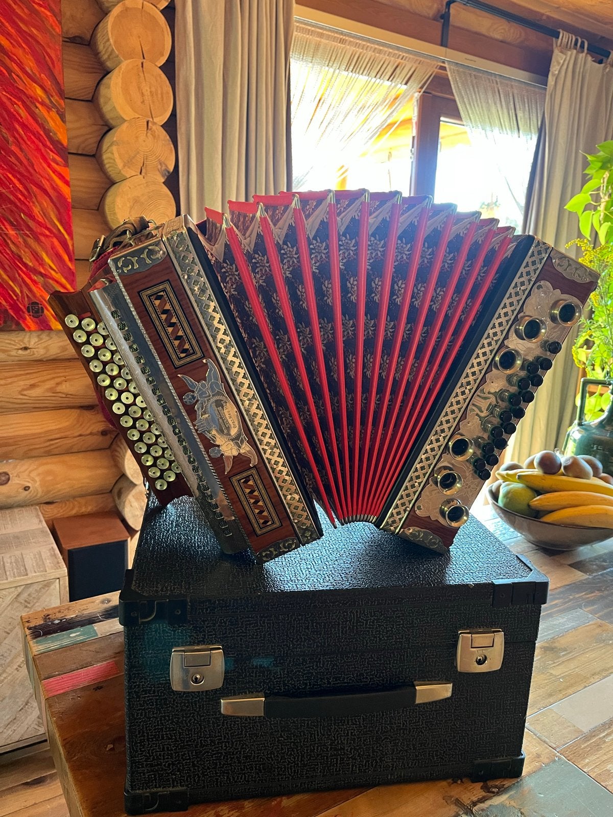 Steirische Harmonika Strasser G C F Bes met cursus, Overige formaten, Zo goed als nieuw, Met koffer, Knopaccordeon