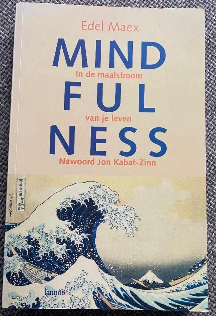 Boek Edel Maex Mindfulness In de maalstroom van je leven, Ophalen of Verzenden, Zo goed als nieuw, Overige onderwerpen, Instructieboek