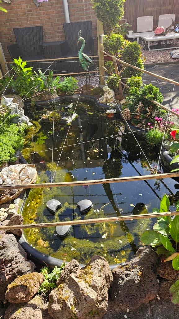 Vijver met toebehoren, Tuin en Terras, Vijvers, Ophalen of Verzenden