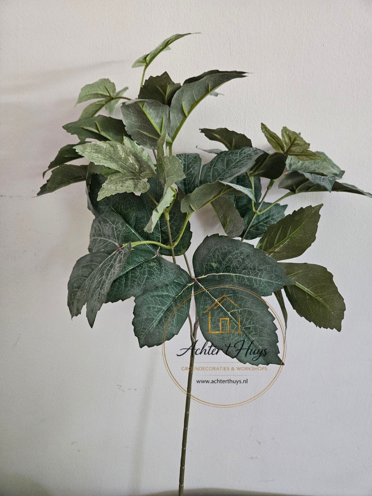 Druiven blad tak - zijdenbloemen 55cm - bloemen, Groen, 55 cm, Nieuw, Ophalen of Verzenden