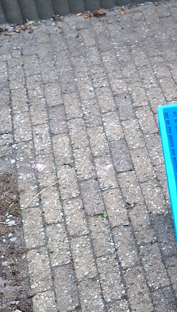 Steentjes (klinkers) gratis af te halen, Ophalen, Gebruikt, Klinkers, Minder dan 5 m²