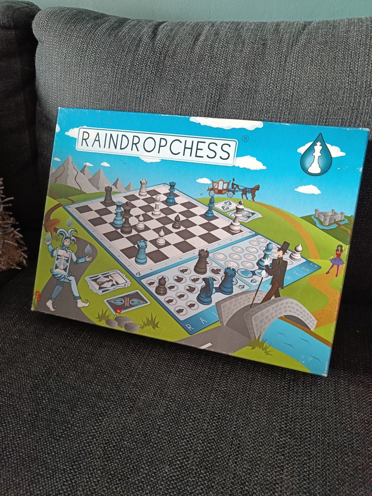 Raindropchess Schaakspel - Unieke Variant, Hobby en Vrije tijd, Een of twee spelers, Ophalen of Verzenden, Zo goed als nieuw, Raindropchess