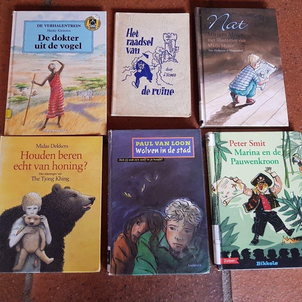 6 leesboeken voor groep 6, Ophalen of Verzenden, Gelezen, Diverse auteurs, Fictie algemeen