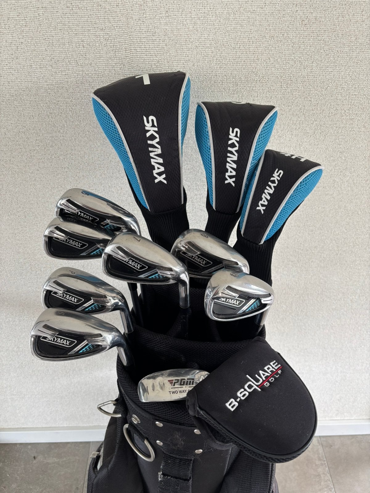 Volledige Skymax Dames Golfset | Nette Staat | +2.5 Inch