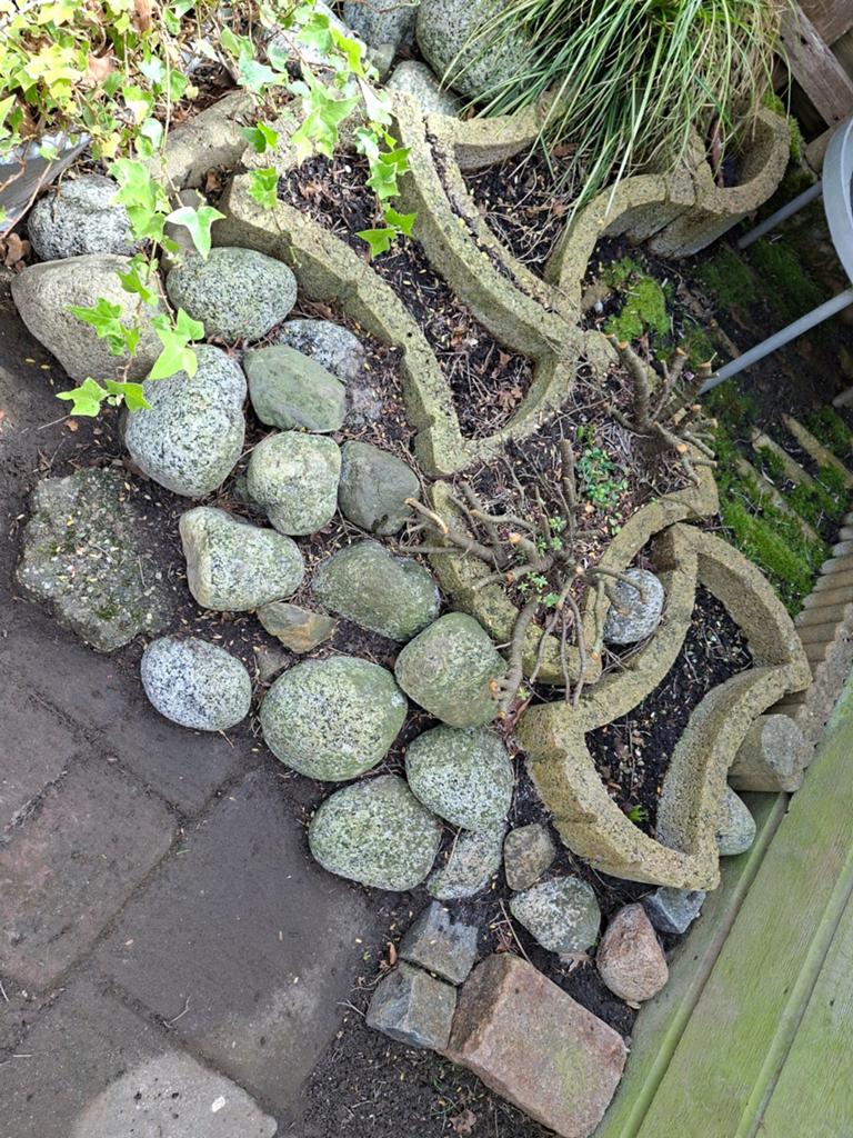 Gratis 5 betonnen plantenbakken, keien al weg., Tuin en Terras, Waterpartijen en Fonteinen, Ophalen, Gebruikt, Beton
