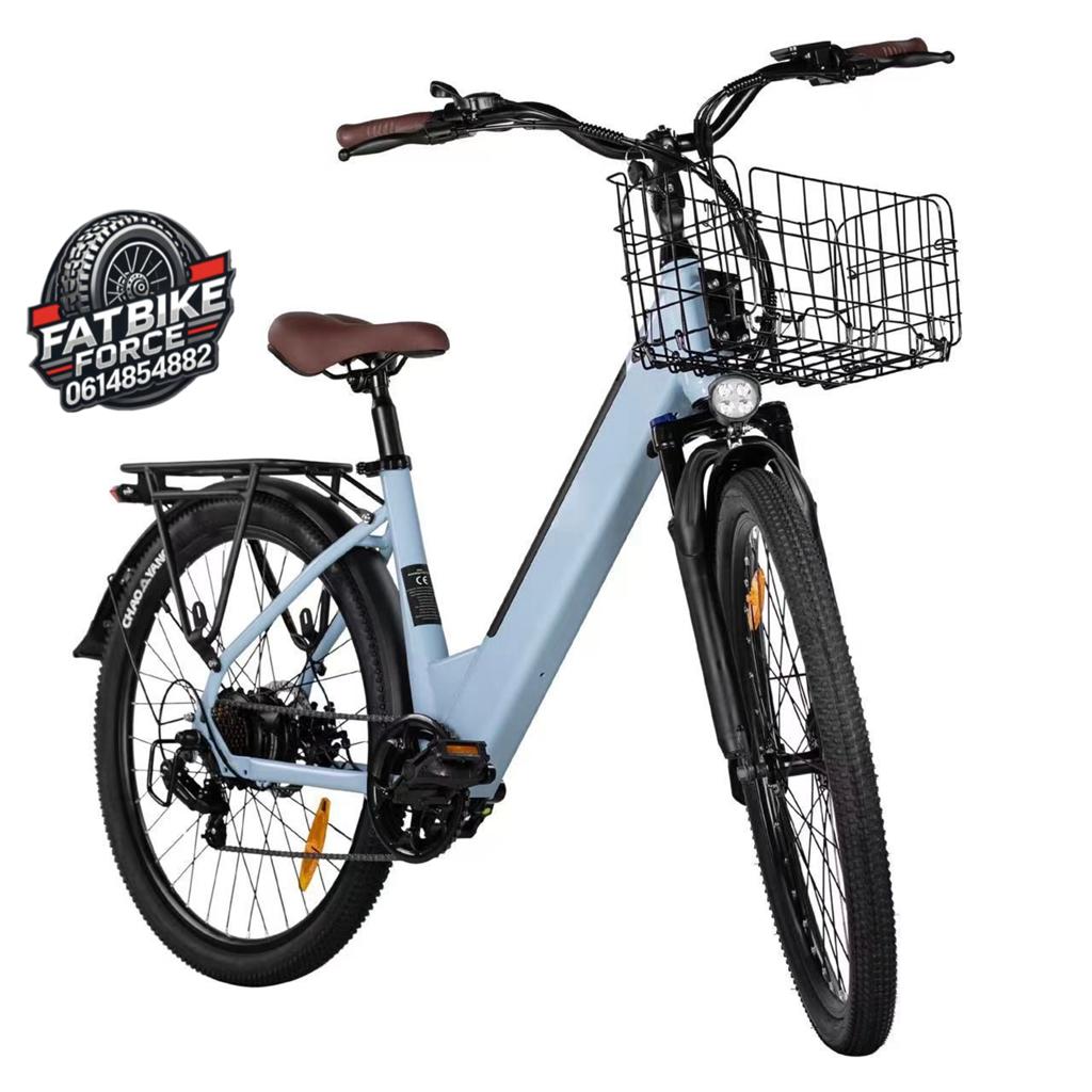 Elektrische fiets EB13 -direct leverbaar- NIEUW ‼️, Fietsen en Brommers, Elektrische fietsen, 59 cm of meer, Ophalen of Verzenden