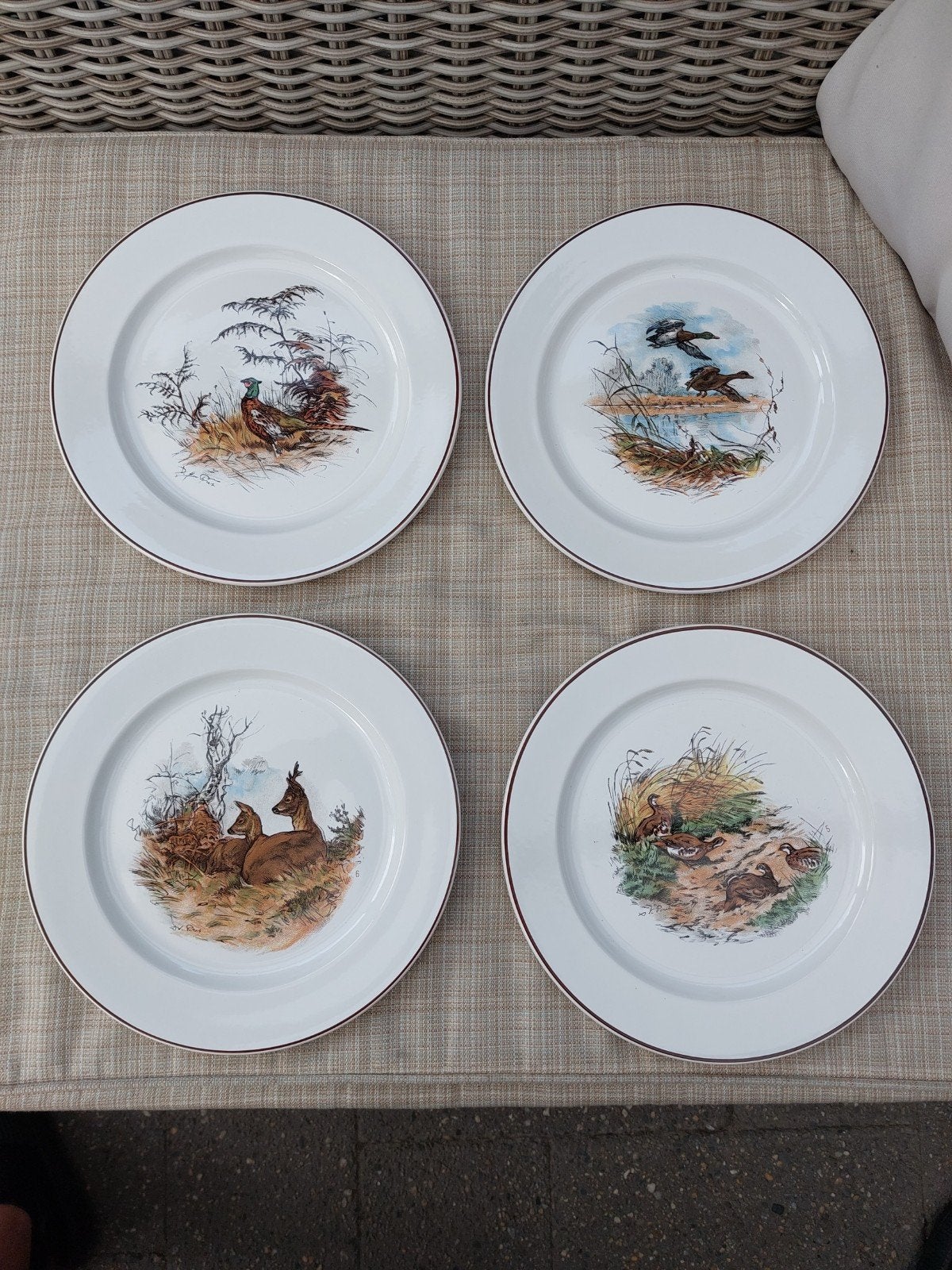 Villeroy & Boch Fontainebleau Vitro-Porselein Wandborden, Ophalen