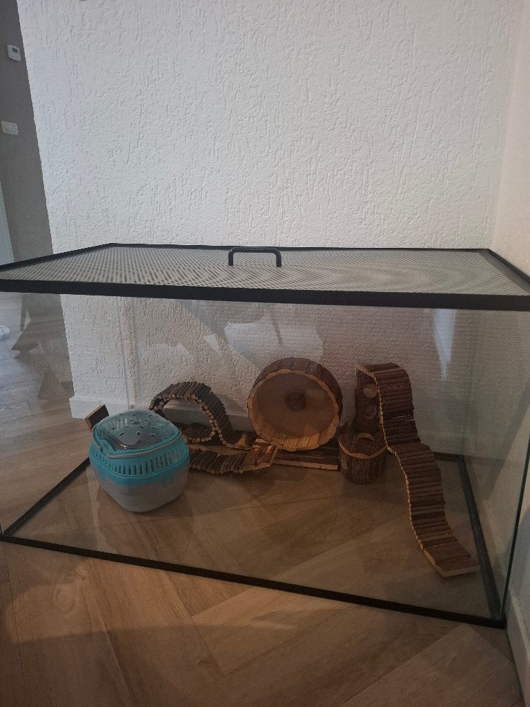 Hamsterkooi / terrarium, Dieren en Toebehoren, Knaagdieren en Konijnen | Hokken en Kooien, Ophalen, Kooi, Zo goed als nieuw, 75 tot 110 cm