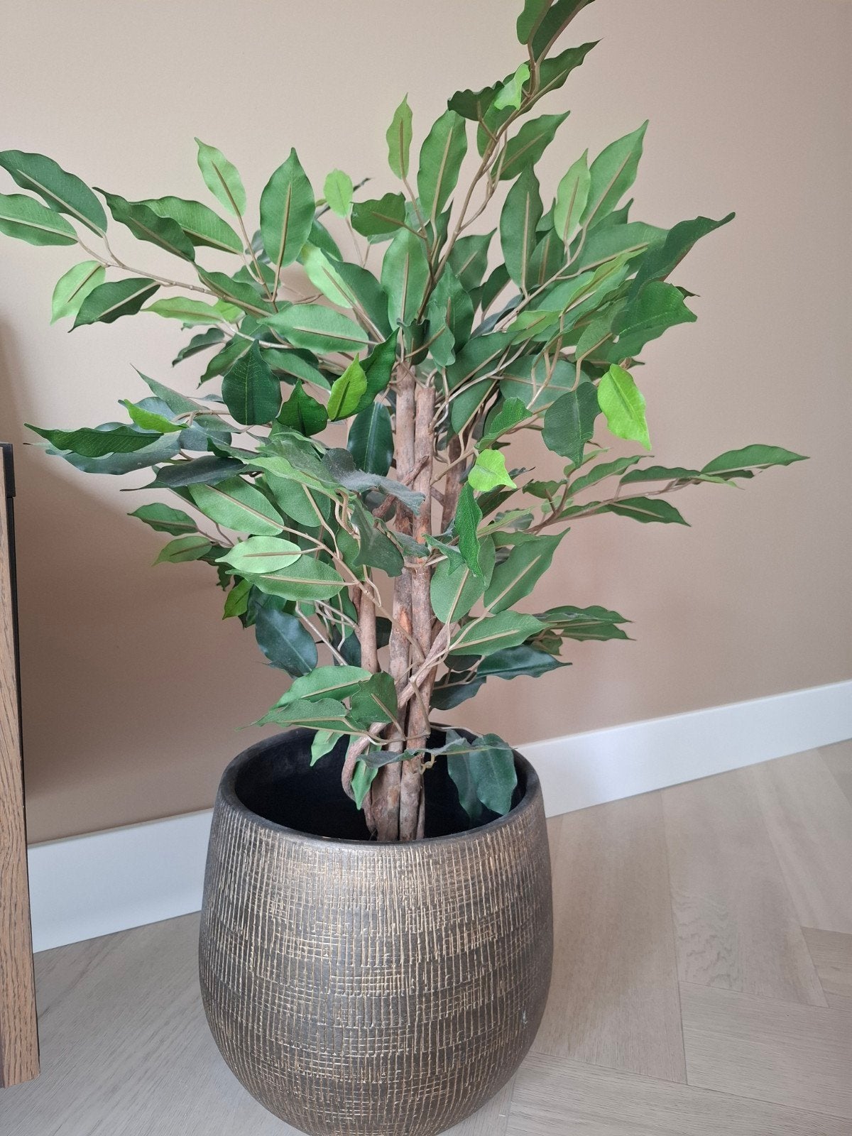 Easyplants Ficus Kunstplant 80 cm met pot, Ophalen, Binnen, Groen, Onderhoudsvrij