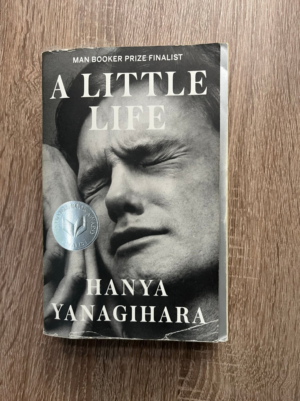 A Little Life - Hanya Yanagihara (Engels), Boeken, Ophalen of Verzenden, Gelezen, Amerika