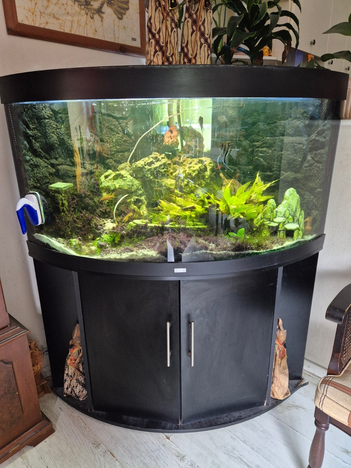 Jewel hoekaquarium Trigon 350, Dieren en Toebehoren, Ophalen, Gebruikt, Leeg aquarium, Juwel