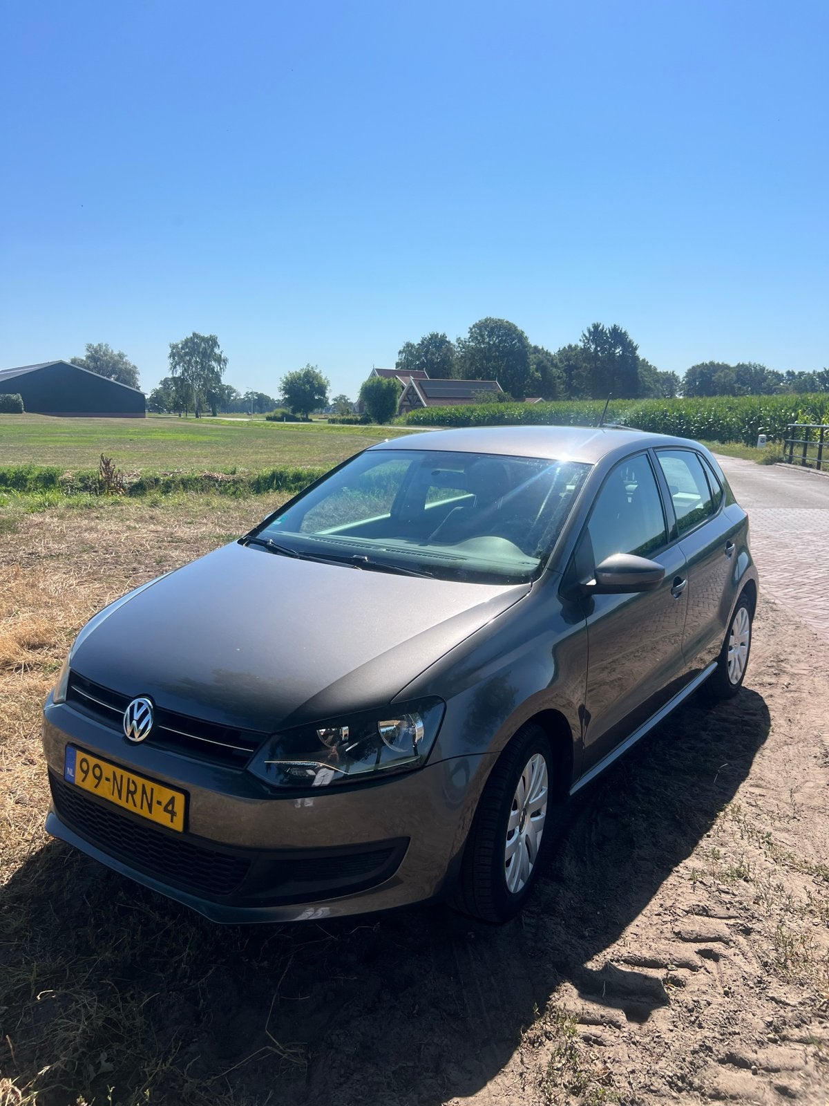 Volkswagen Polo 1.2 51KW 2010 Grijs, Auto's, Volkswagen, Voorwielaandrijving, 1198 cc, Origineel Nederlands, Handgeschakeld