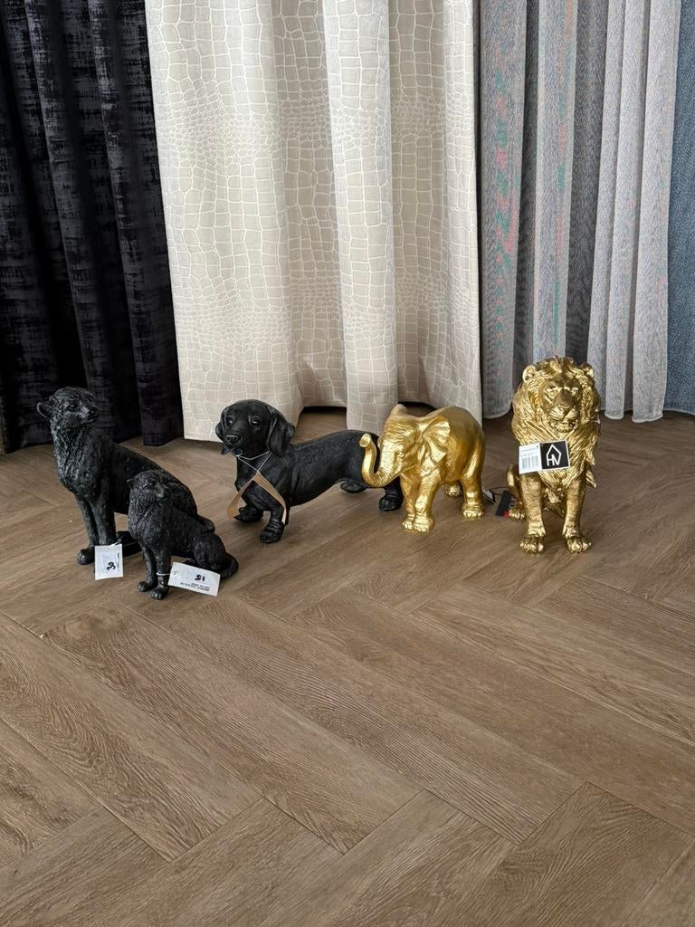 Beelden dieren, Ophalen of Verzenden, Nieuw, Dier