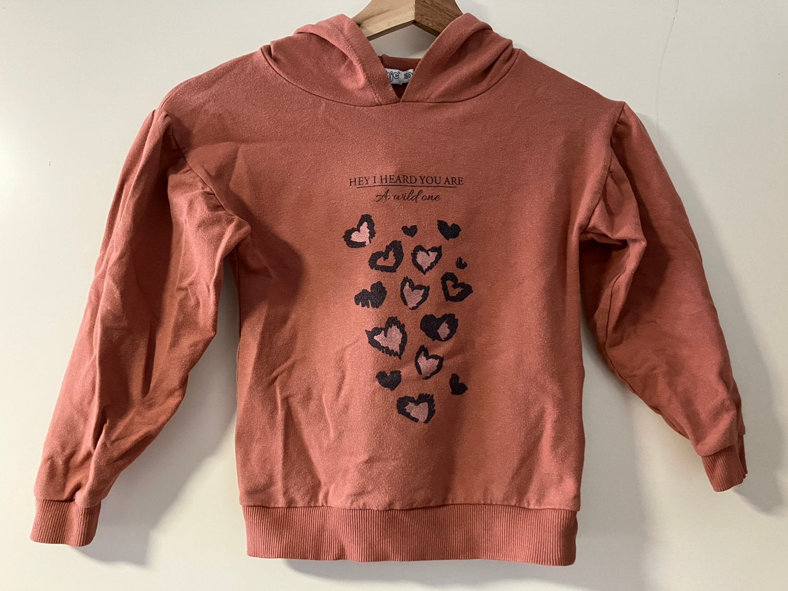 Dirkje Trui met capuchon maat 116 voor meisje met hartjes, Kinderen en Baby's, Kinderkleding | Maat 116, Ophalen of Verzenden