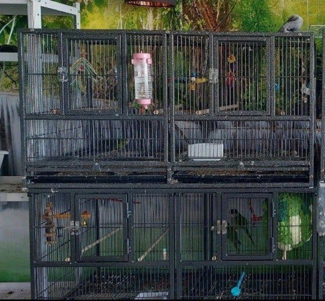Kooi op wielen, met scheidingswand, 2 verdiepingen, Dieren en Toebehoren, Ophalen, Gebruikt, Metaal, Vogelkooi