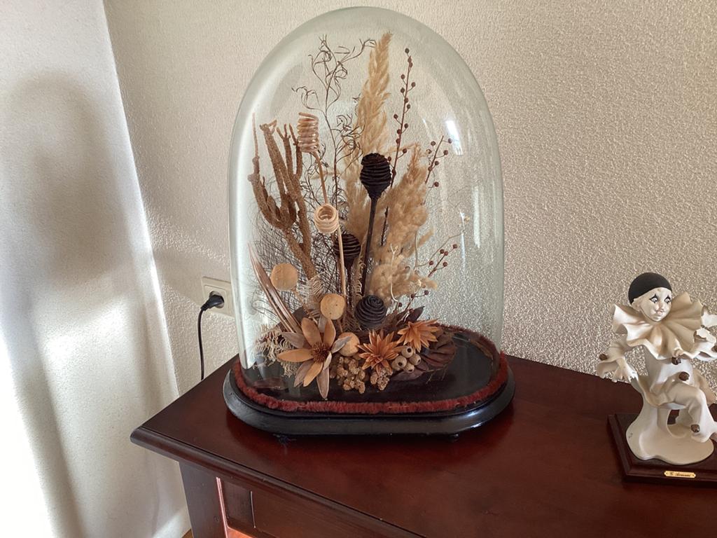 Glazen antieke stolp met droogstuk van 52 cm, Huis en Inrichting, Ophalen