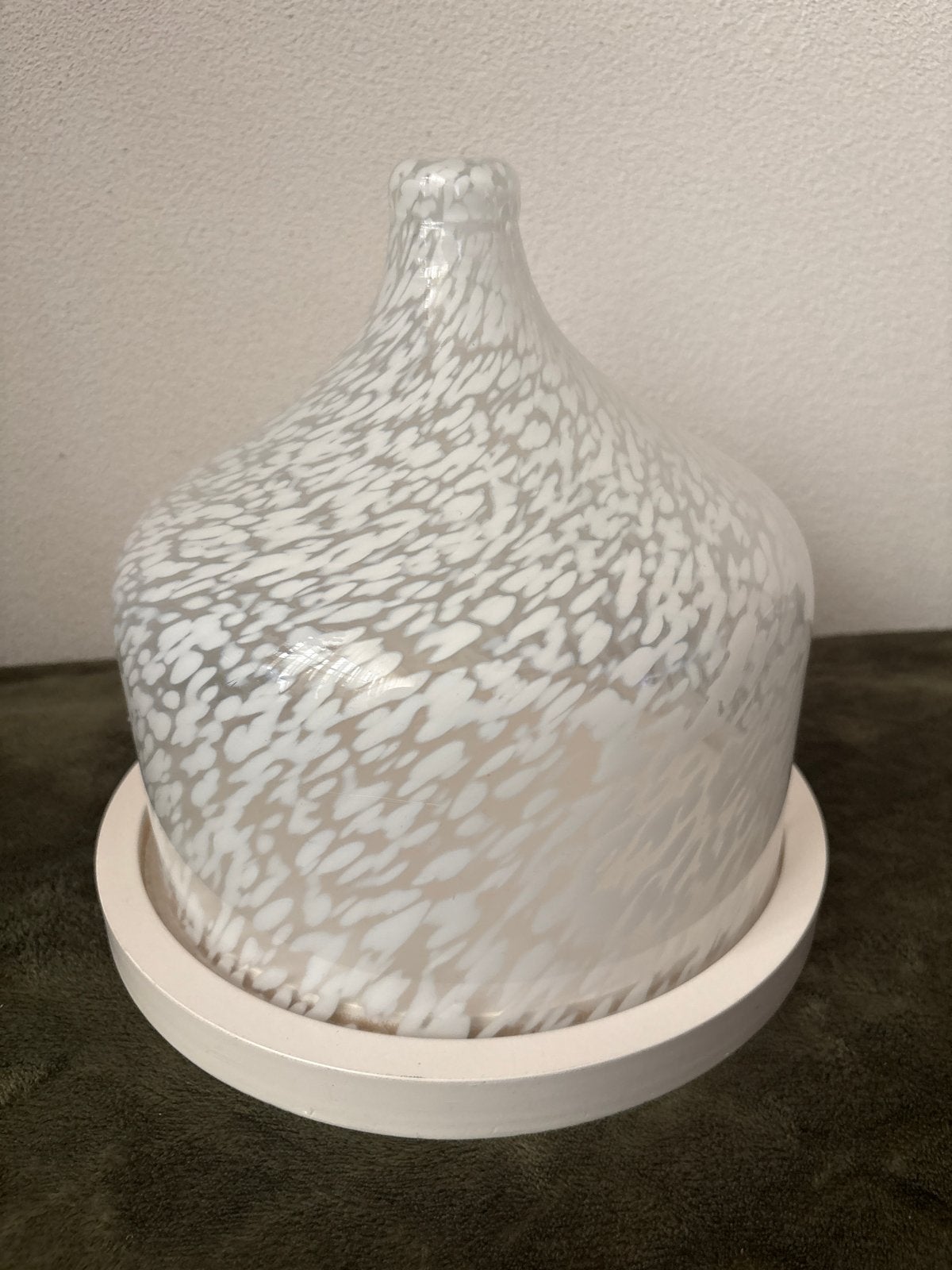 Cloche, Glas, Ophalen of Verzenden, Gebruikt, Met plateau