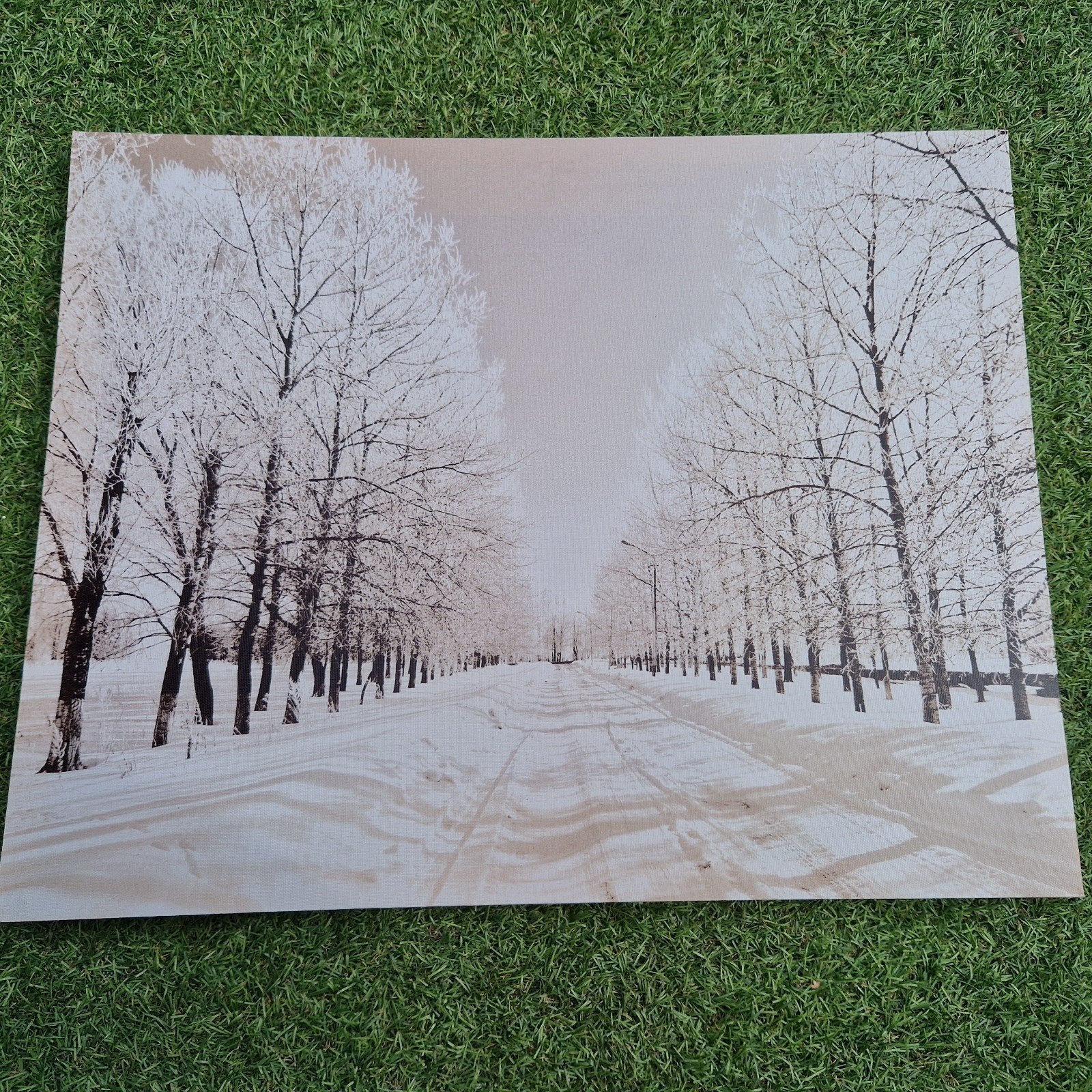 Schilderij Winterlandschap met besneeuwde bomen, Gebruikt, Ophalen of Verzenden, Schilderij, 75 tot 100 cm