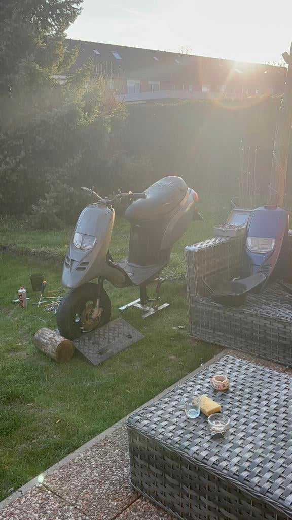 Piaggio Typhoon frame project/onderdelen, Dieren en Toebehoren, Mannelijk, Kip