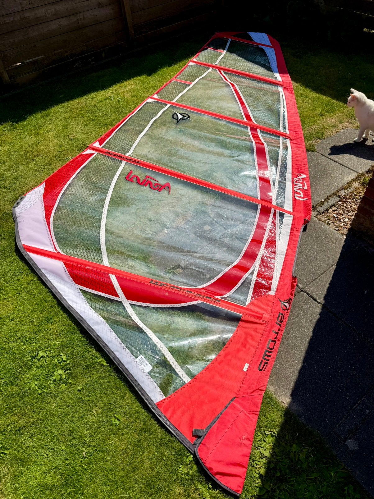 Te Koop: Arrows Aerial 5.6 m2 windsurfzeil, Ophalen, 5 tot 6.5 m², Arrows, Zeil