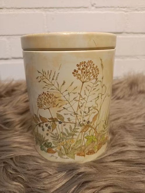 Vintage blik Jenny Rhodes, Ophalen of Verzenden, Zo goed als nieuw, Overige