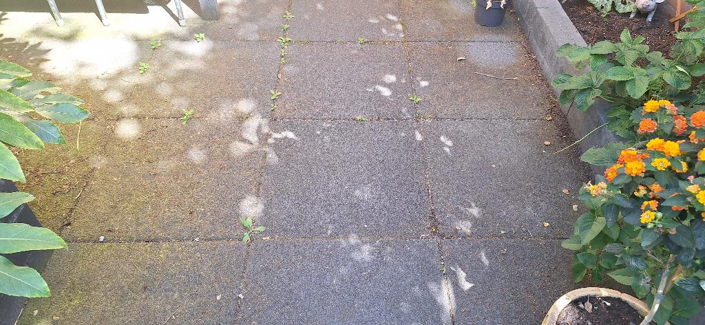 Terrastegels, Tuin en Terras, Tegels en Klinkers, Ophalen, Gebruikt, Beton, Terrastegels