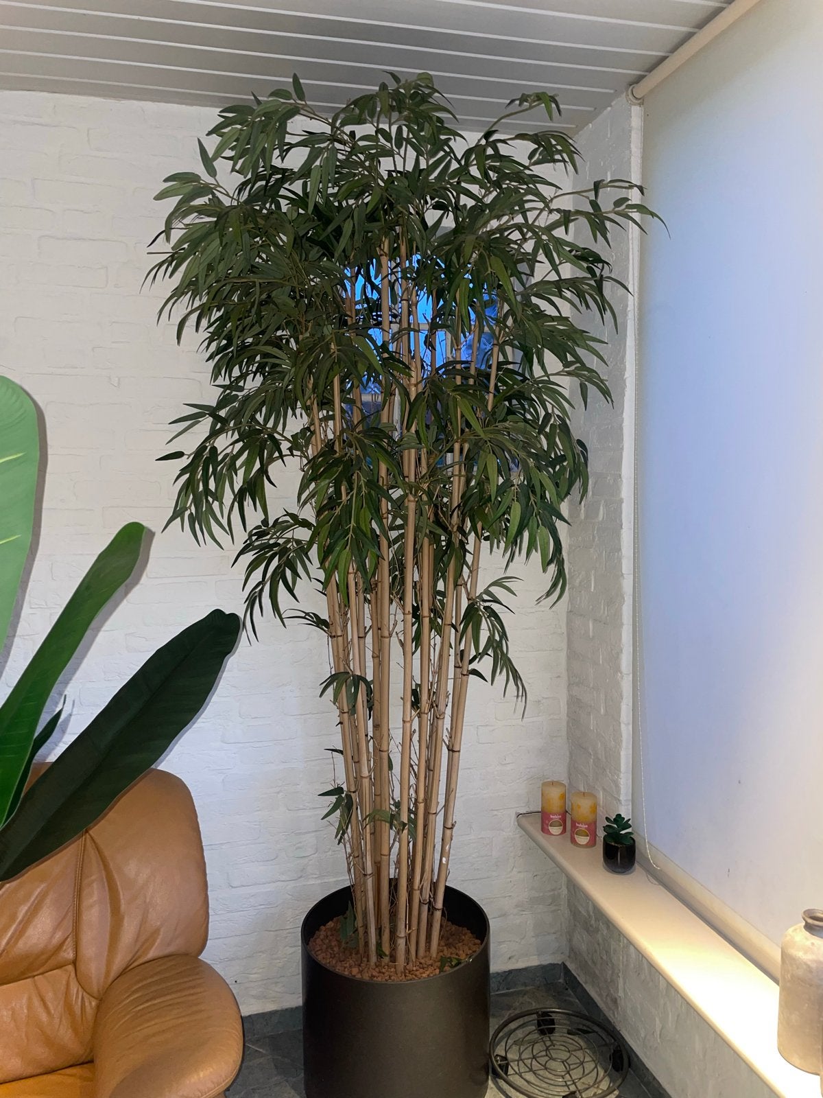 Grote Kunstplant Bamboe - Realistische Decoratie, Ophalen, Binnen, Groen, Kunstplant