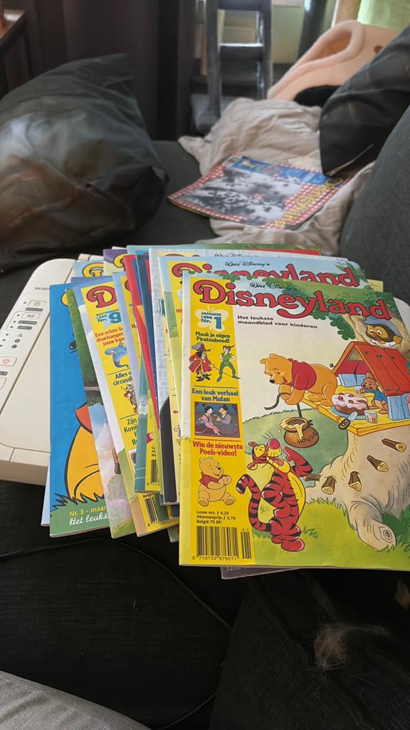 Disney Disneyland magazines - diverse jaargangen, Boeken, Ophalen of Verzenden, Gelezen, Overige typen