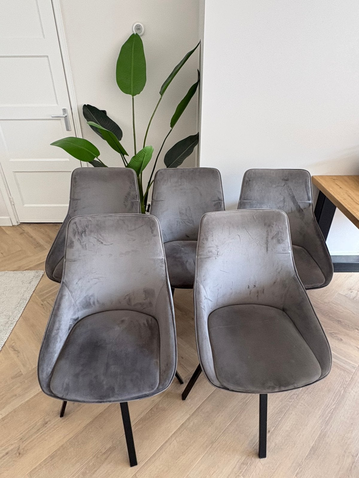 ZAZA Home Set van 5 stoelen ‘Mathias’ Grijs, Ophalen, Zo goed als nieuw, Vijf, Zes of meer stoelen, Modern