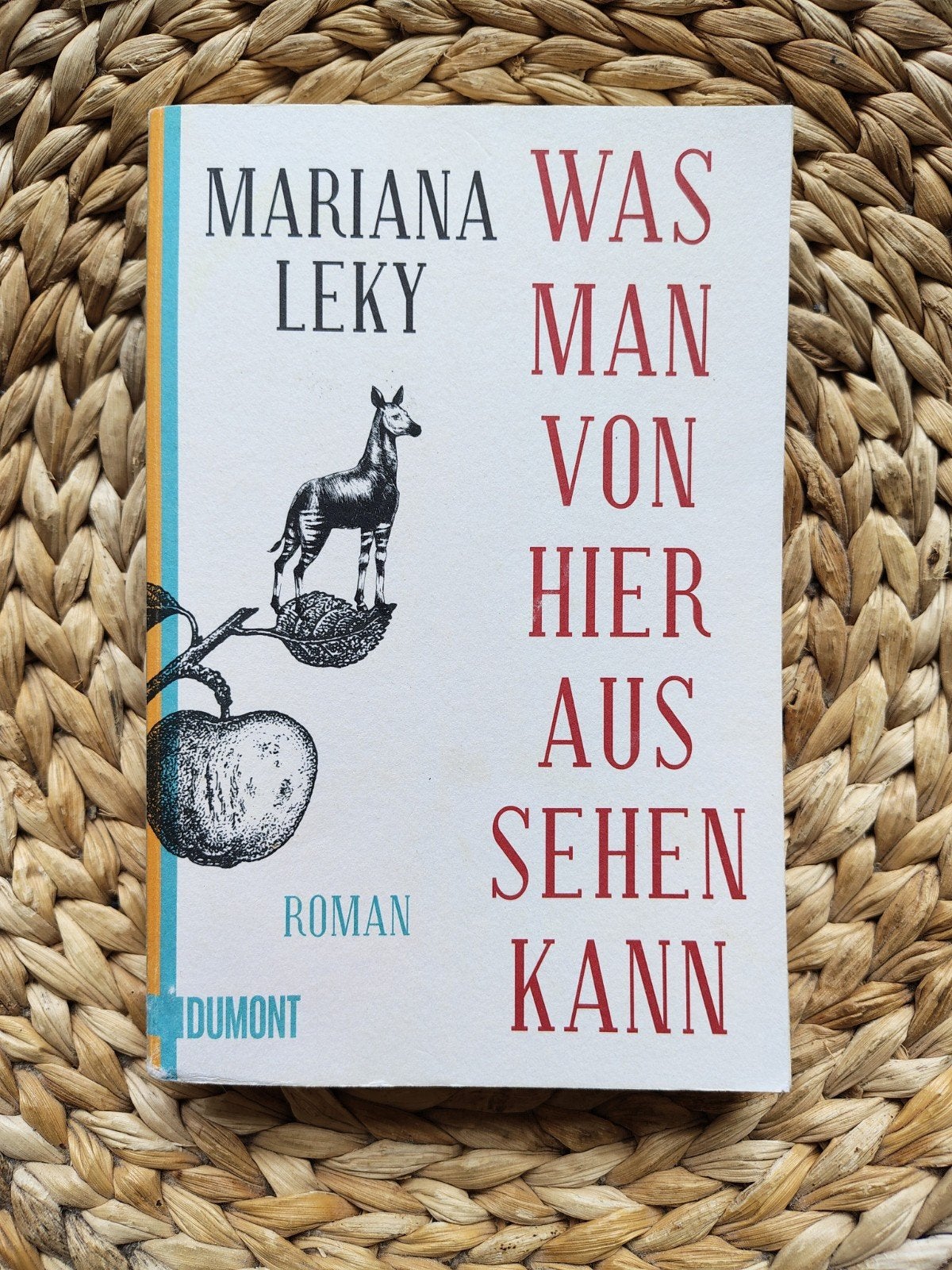 Mariana Leky - Was man von hier aus sehen kann, Ophalen of Verzenden, Gelezen