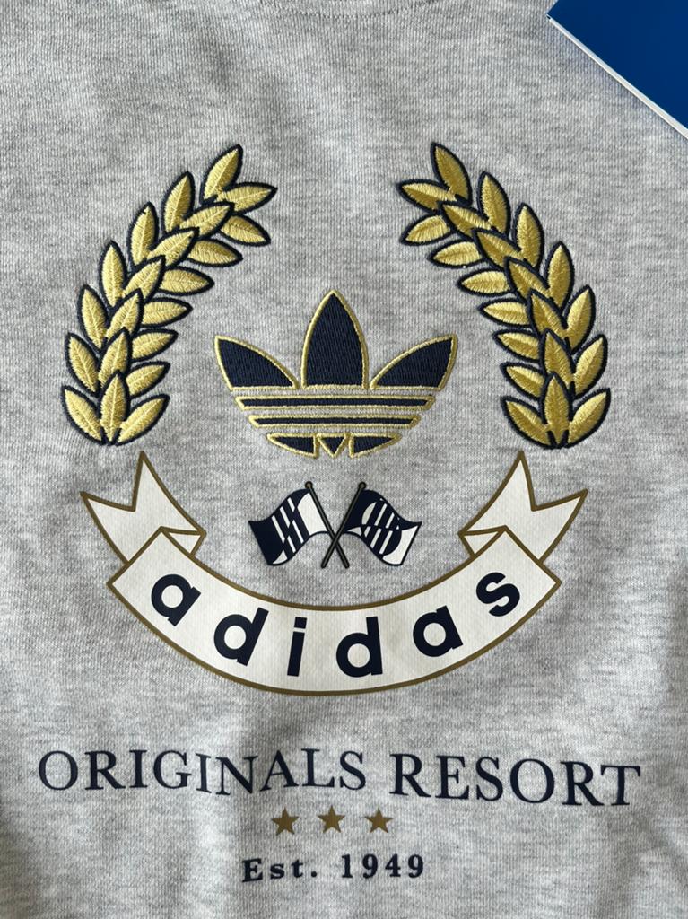 Adidas Graphic sweater maat 34!, Kleding | Dames, Truien en Vesten, Ophalen of Verzenden, Nieuw, Maat 34 (XS) of kleiner, Grijs