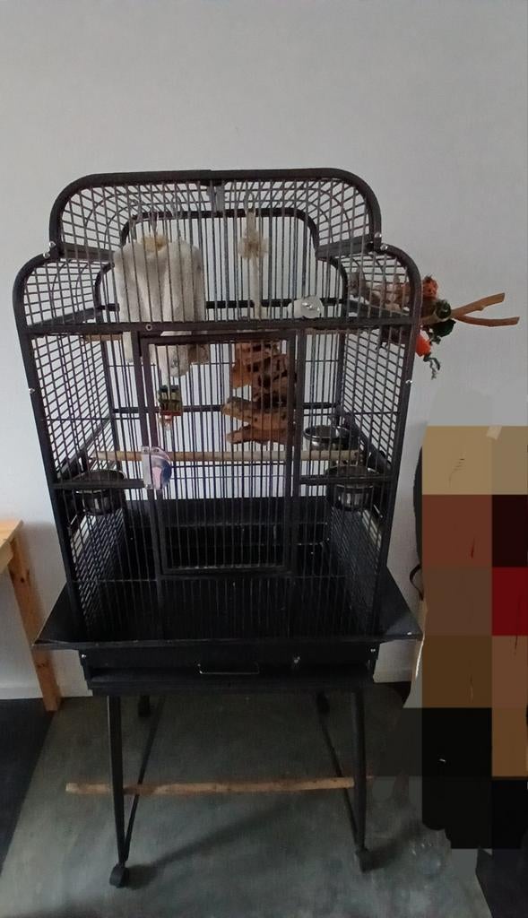 Vogel/papegaaienkooi, Ophalen, Gebruikt, Metaal, Vogelkooi