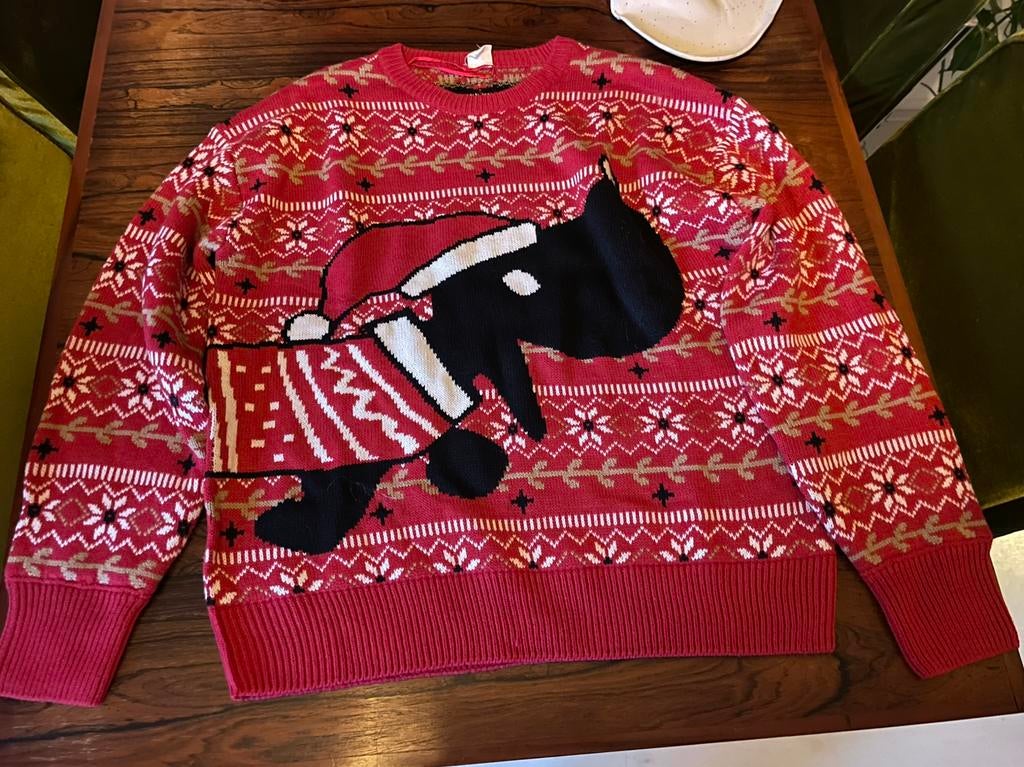 Warme takkie kersttrui - HEMA, Ophalen of Verzenden, Zo goed als nieuw