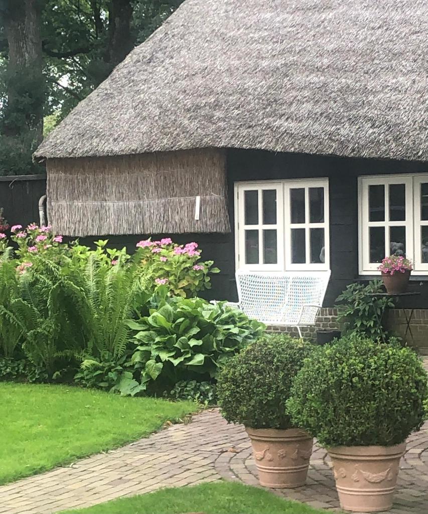 Verhuur vakantiehuis, In bos, Internet, Dorp, 1 slaapkamer