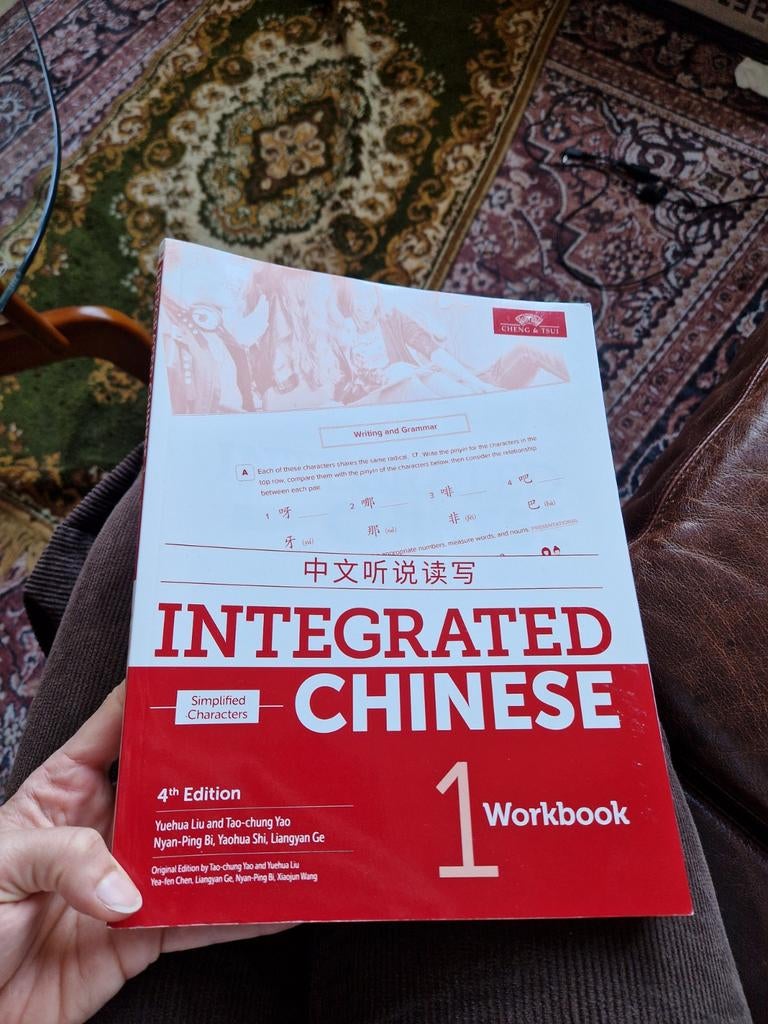 Integrated Chinese workbook 1, Ophalen of Verzenden, Internet of Webdesign