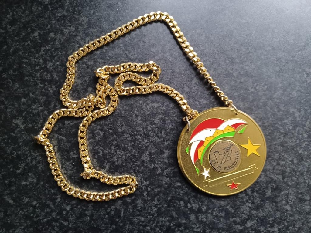 Carnavals medaille onderscheiding CV De Peelvrujters 22 joar, Postzegels en Munten, Penningen en Medailles, Ophalen, Overige materialen