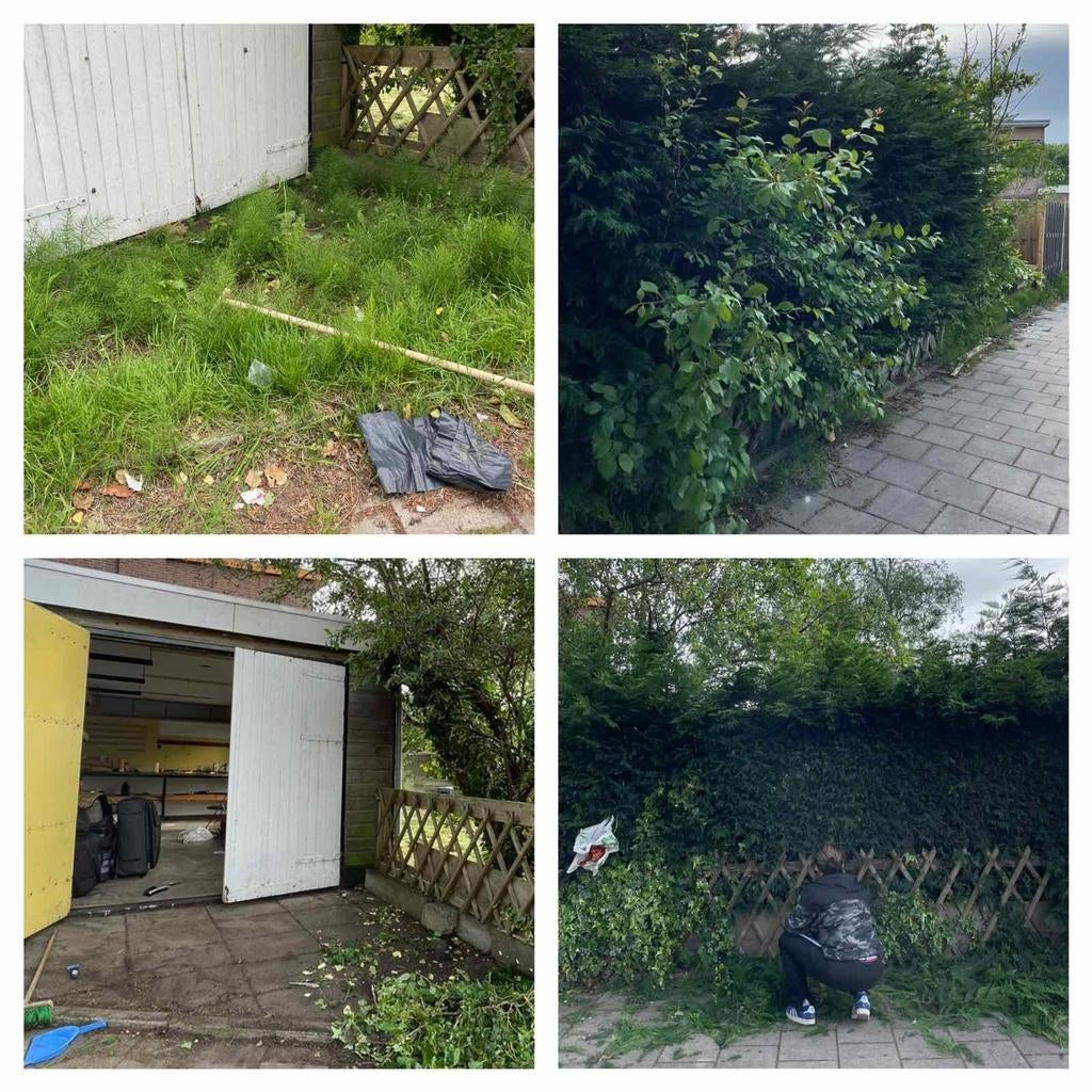 Foto 3 van Tuin schoonmaker