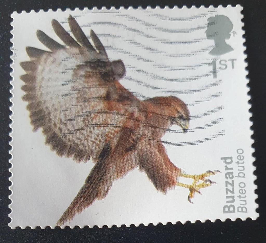 128-26 Engeland / Buzzard - Buizerd, Verzenden, Gestempeld
