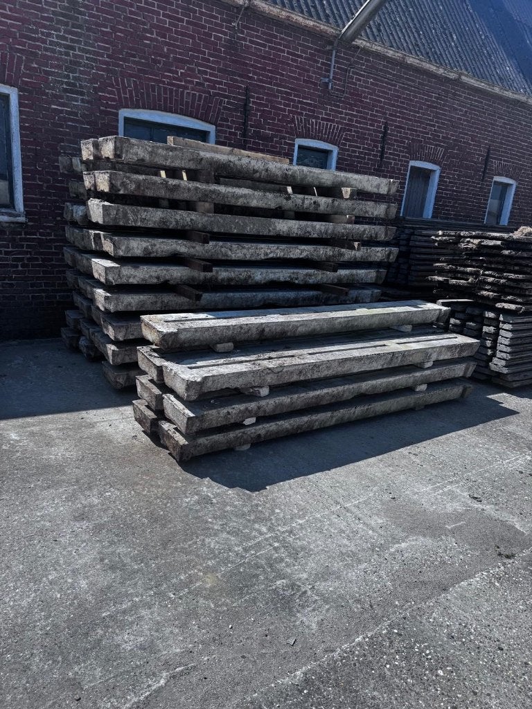 Stalroosters, Dieren en Toebehoren, Stalling en Weidegang, Stalling