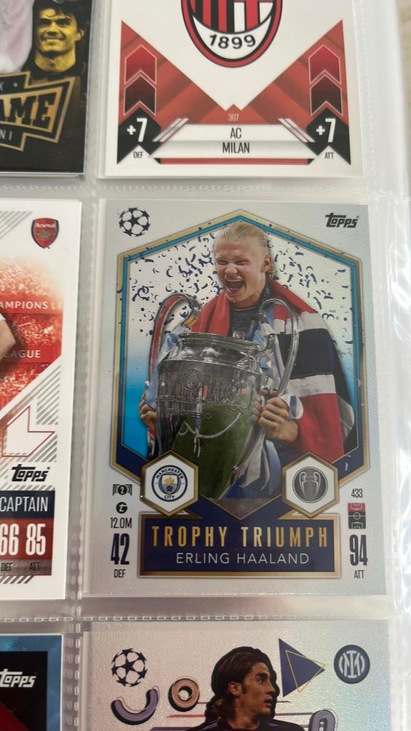 Trophy triumph erling haaland, Ophalen, Zo goed als nieuw, Buitenlandse clubs, Poster, Plaatje of Sticker