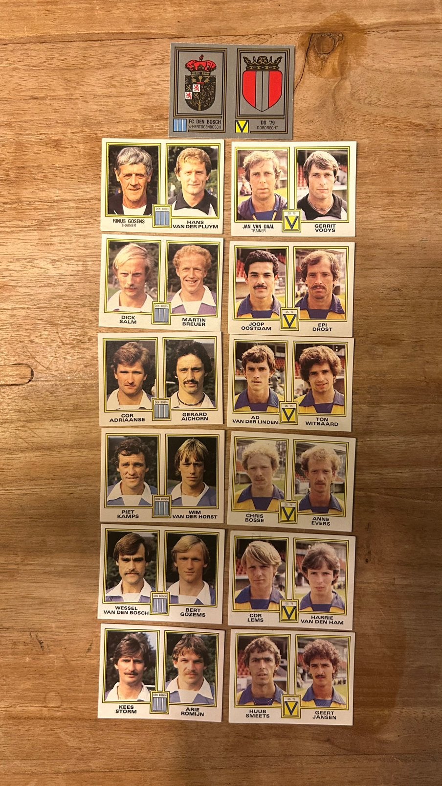 Panini Voetbal 81 plaatjes FC Den Bosch en DS’79 13x, Verzenden, Zo goed als nieuw, Meerdere plaatjes