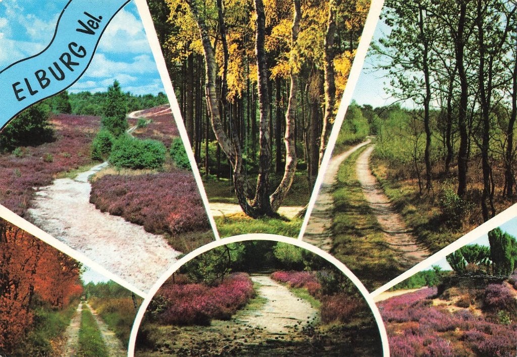 Elburg, Heide, Ophalen of Verzenden, 1980 tot heden, Gelopen, Gelderland