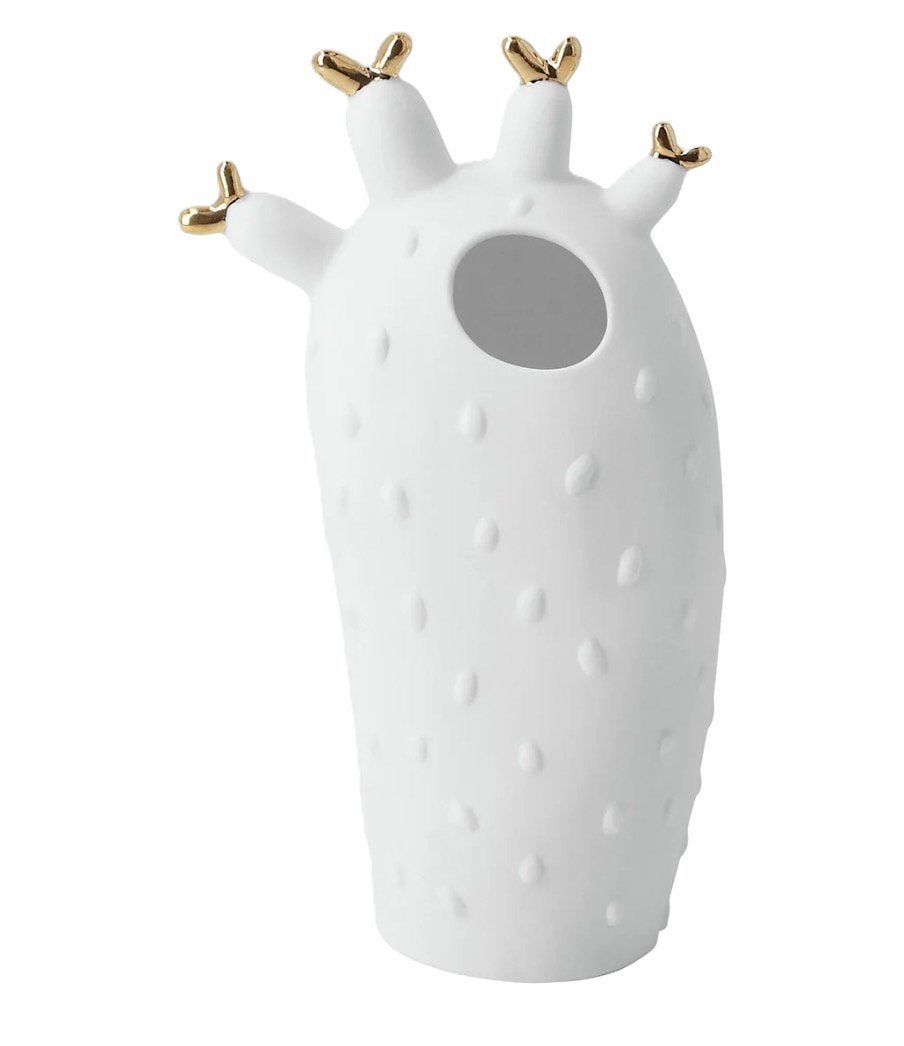 Rader cactus vaas koraal, Verzenden, Nieuw, Wit