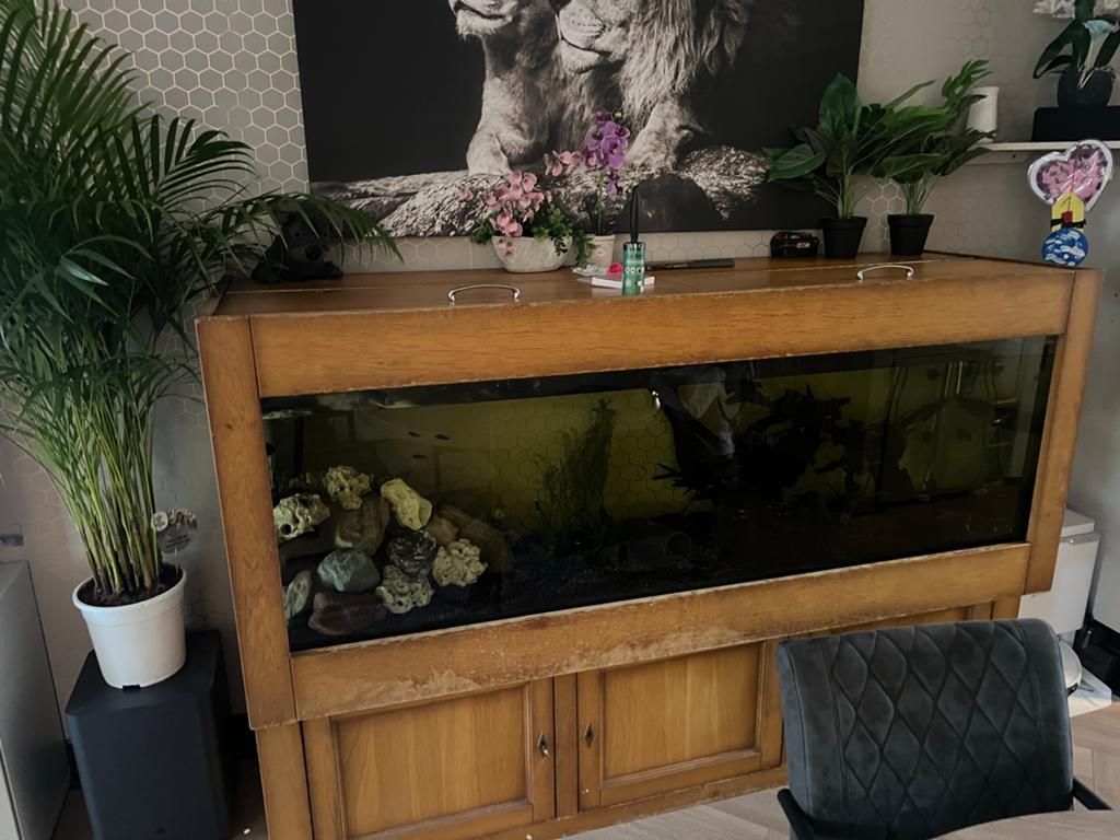 Aquarium, Dieren en Toebehoren, Ophalen, Leeg aquarium